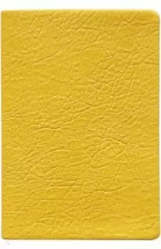 Ежедневник недатированный, 96 листов, А5, Turtle, желтый