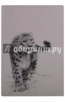 Ежедневник недатированный, Барс, 160 листов, А5