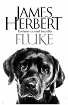 Fluke