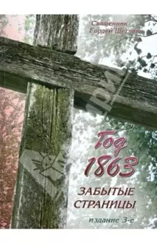 Год 1863. Забытые страницы