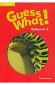 Guess What! Level 1. Flashcards, pack of 95