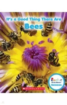 It's a Good Thing There Are Bees