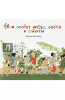 Как растут ягоды, орехи и фрукты?
