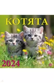 Календарь на 2024 год. Котята