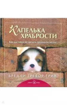 Капелька храбрости. Как достойно встречать трудности жизни