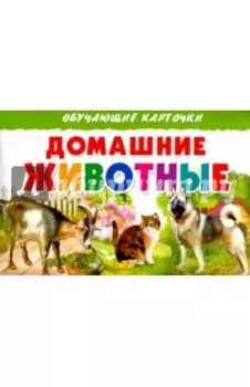 Карточки. Домашние животные