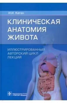Клиническая анатомия живота. Иллюстрированный авторский цикл лекций