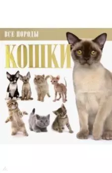 Кошки