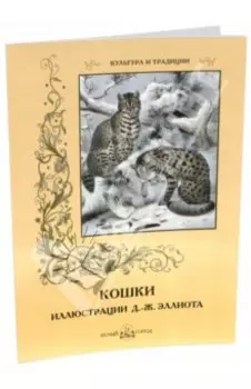 Кошки