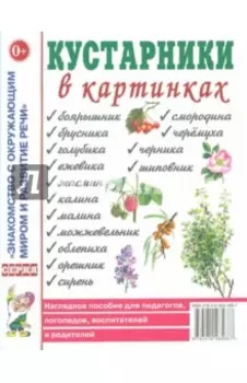 Кустарники в картинках. Наглядное пособие для педагогов, логопедов, воспитателей и родителей