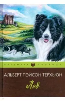 Лэд