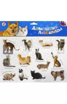 Магниты Домашние любимцы