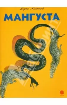 Мангуста