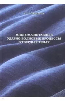 Многомасштабные ударно-волновые процессы в твердых телах