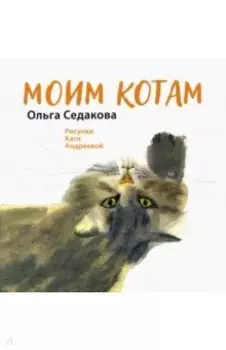 Моим котам