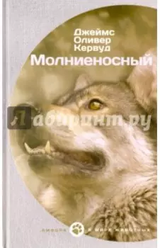 Молниеносный