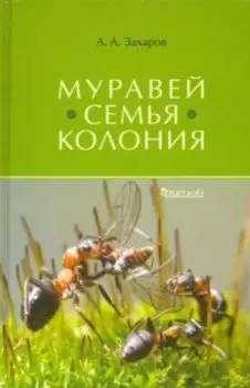 Муравей. Семья. Колония