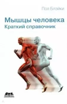 Мышцы человека. Краткий справочник
