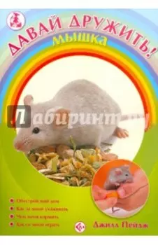 Мышка