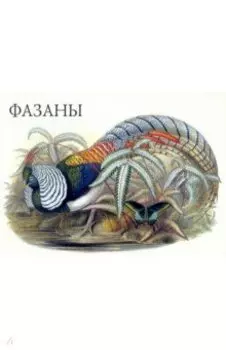 Набор открыток. Фазаны. Выпуск 1