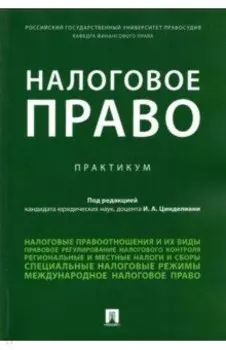 Налоговое право. Практикум