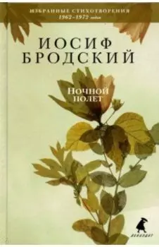 Ночной полет. Стихотворения