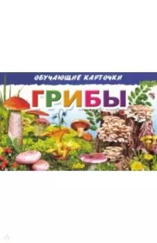 Обучающие карточки. Грибы