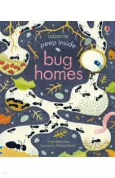 Peep Inside. Bug Homes