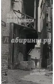 Поэтика доподлинности: Критическая проза. Записные книжки. Фотографии