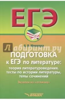 Подготовка к ЕГЭ по литературе. Экзамен на "отлично"
