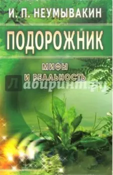 Подорожник. Мифы и реальность
