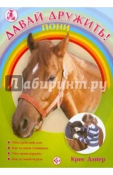 Пони