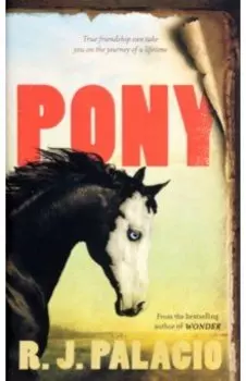 Pony