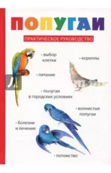 Попугаи