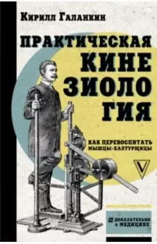 Практическая кинезиология. Как перевоспитать мышцы-халтурщицы