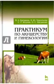 Практикум по акушерству и гинекологии. Учебное пособие