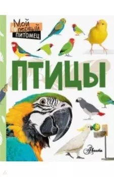 Птицы