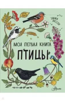 Птицы