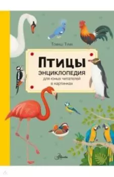 Птицы