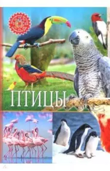 Птицы