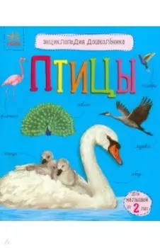 Птицы