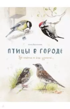 Птицы в городе. Где найти и как узнать