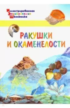 Ракушки и окаменелости