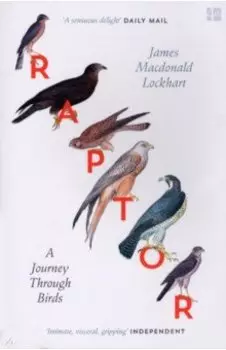 Raptor. A Journey Through Birds