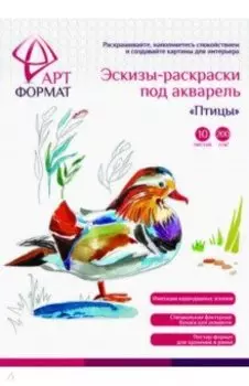 Раскраска-эскиз Птицы, 10 листов, А4