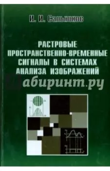 Растровые пространственно-временные сигналы в системах анализа изображений