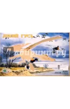 Сборная модель "Дикий гусь" (80403)