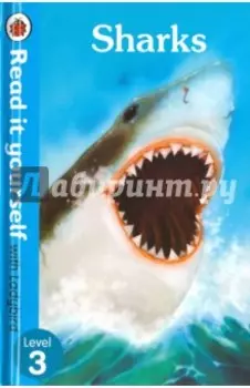 Sharks