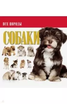 Собаки