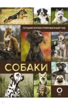 Собаки. Лучший иллюстрированный гид